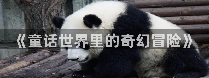 奇米在线国产：《童话世界里的奇幻冒险》