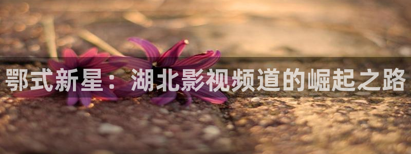 91奇米在线视频：鄂式新星：湖北影视频道的崛起之路