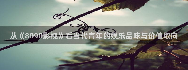 奇米在线视频二区：从《8090影视》看当代青年的娱乐品味与价值取向