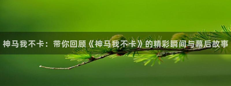 奇米在线视频免费：神马我不卡：带你回顾《神马我不卡》的精彩瞬间与幕后故事