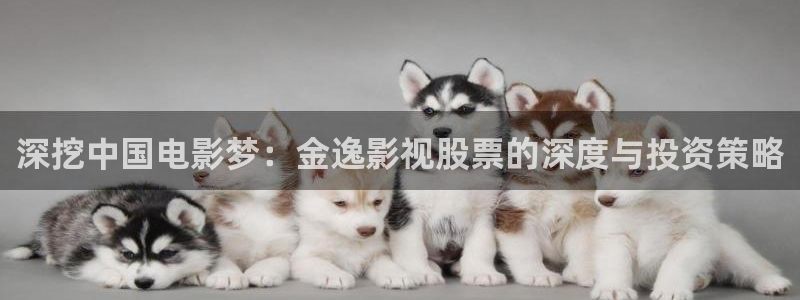 第四色奇米在线观看：深挖中国电影梦：金逸影视股票的深度与投资策略