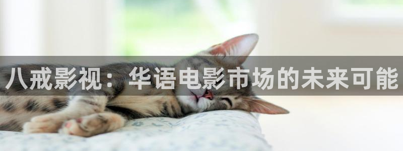 奇米在线视频444：八戒影视：华语电影市场的未来可能